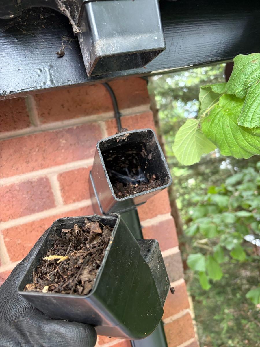 Blocked downpipe packed with leaves and sludge