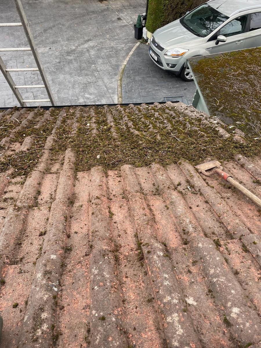 Moss scrape on a terracotta roof
